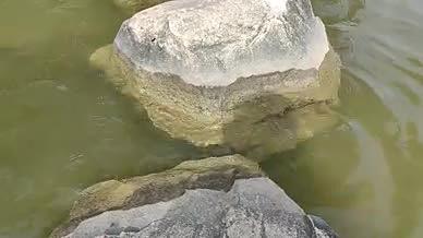 岩石旅行实拍湖水水池视频的预览图